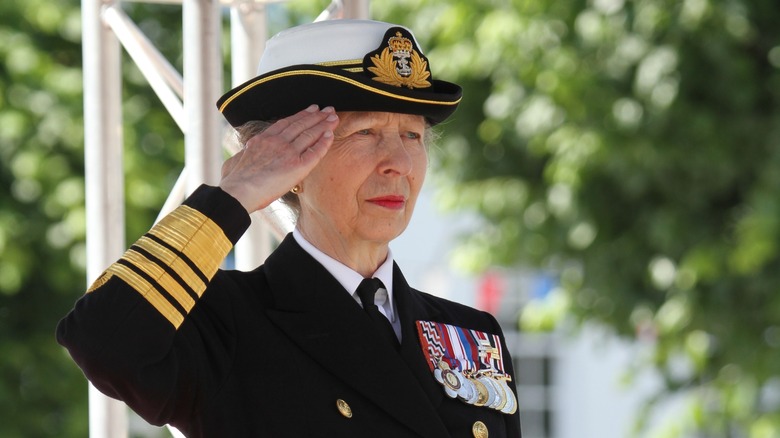 Princess Anne at an event 