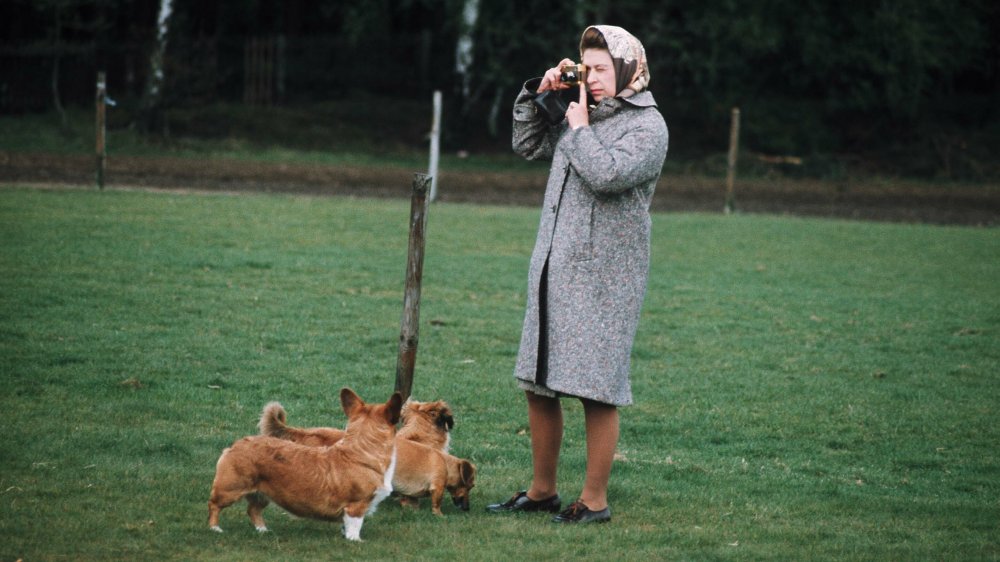 Queen Elizabeth and her corgis