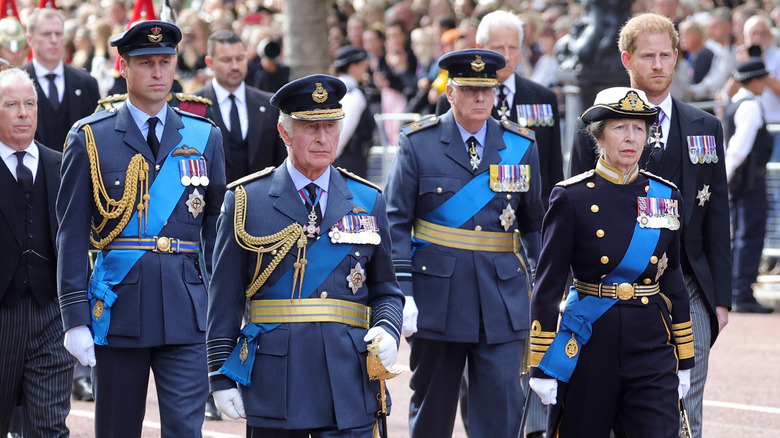 Members of the royal family at the queen's procession