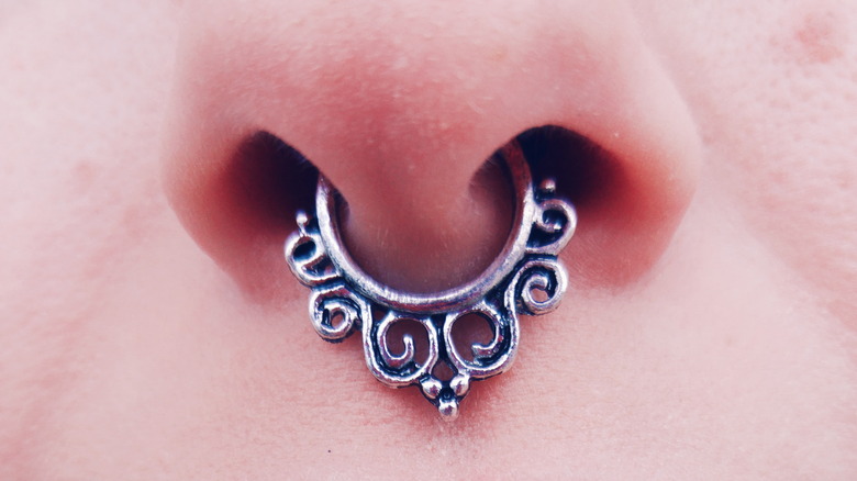 A septum piercing close-up