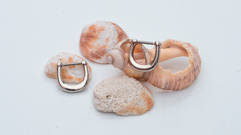 Septum rings and seashells