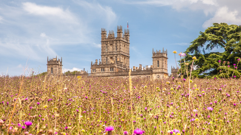 Field of flowers outside Highclere Castle