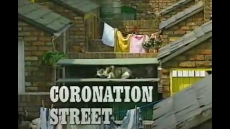 Coronation Street's Frisky the cat 