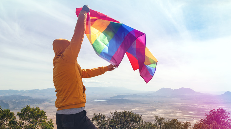 Person waves pride flag