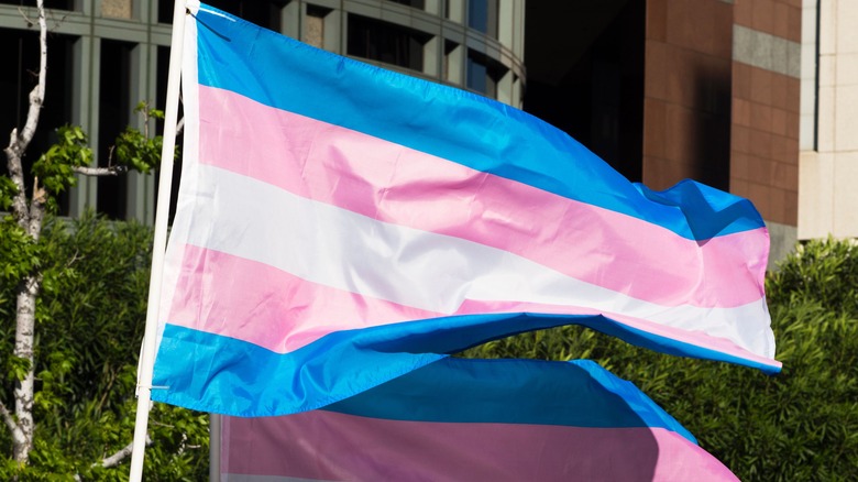 The Truth About The Trans Flag