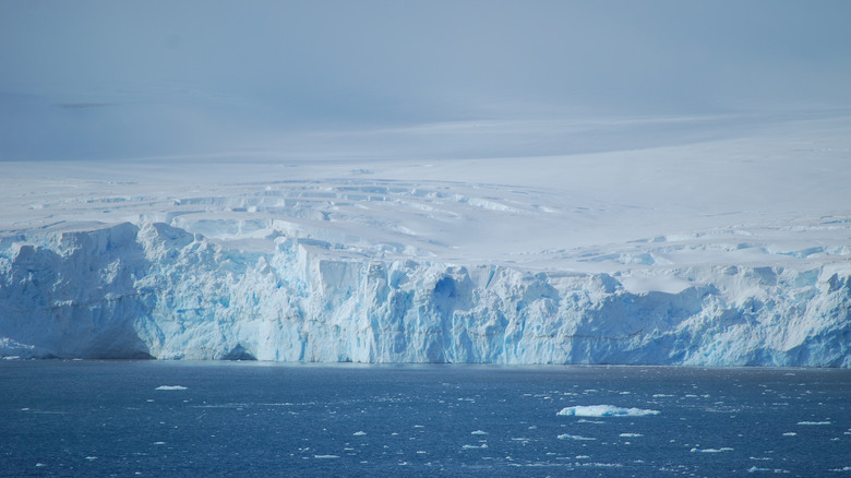 Antarctica