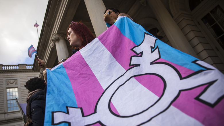 Marchers holding a Trans pride flag with an icon