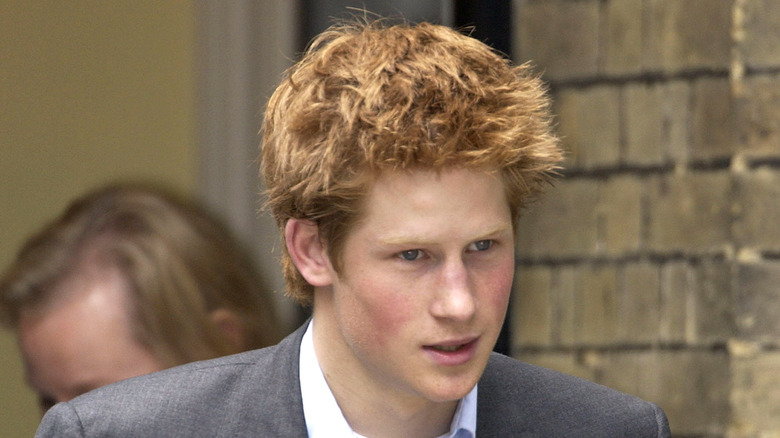 Young Prince Harry 