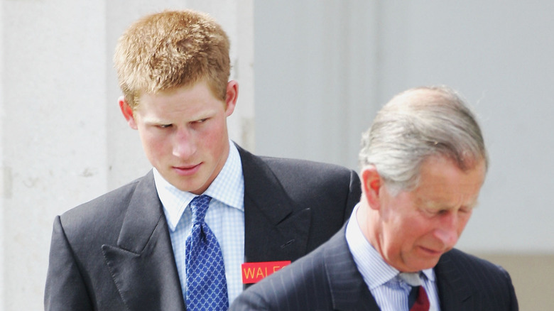 Prince Harry in 2005 