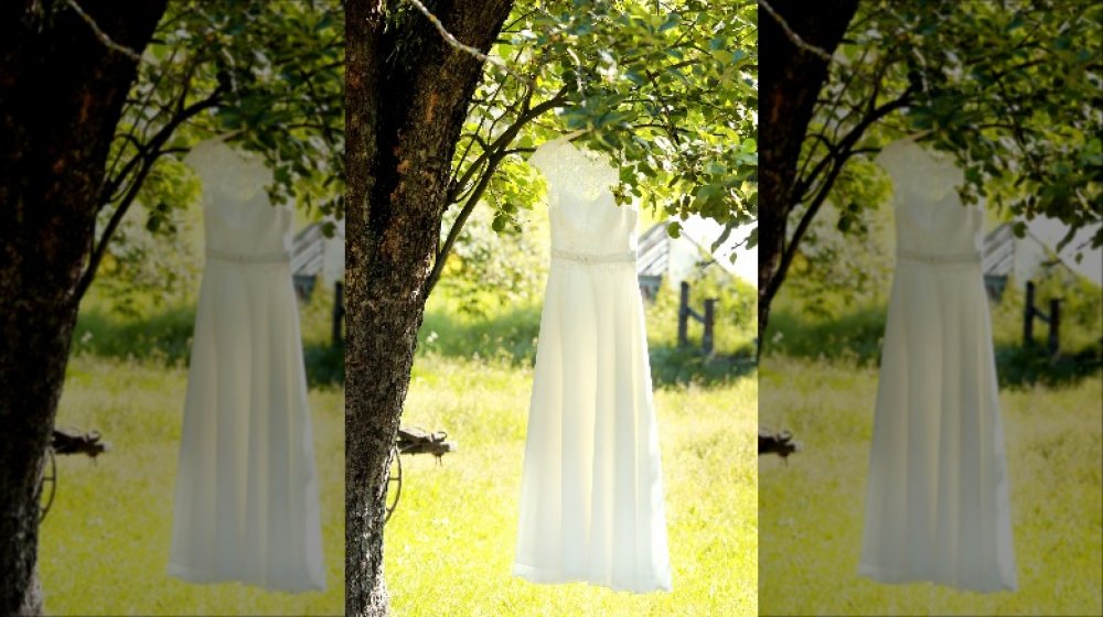 wedding dress hanging from a tree