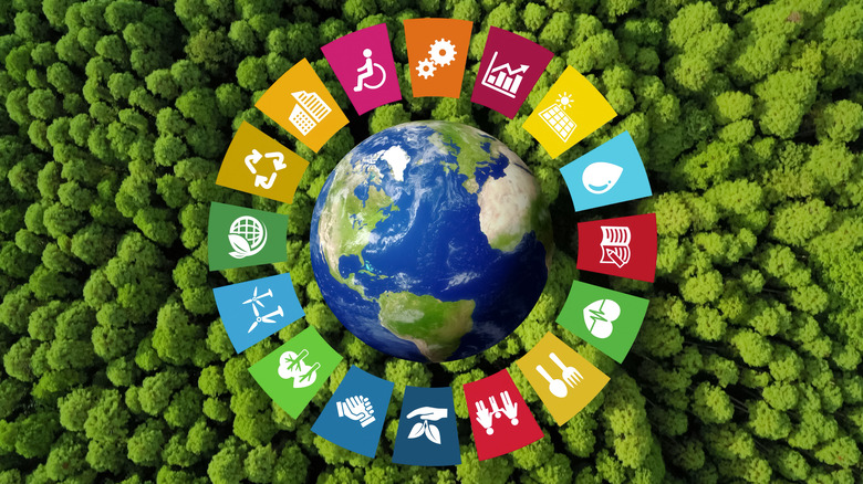 UN SDGs on planet