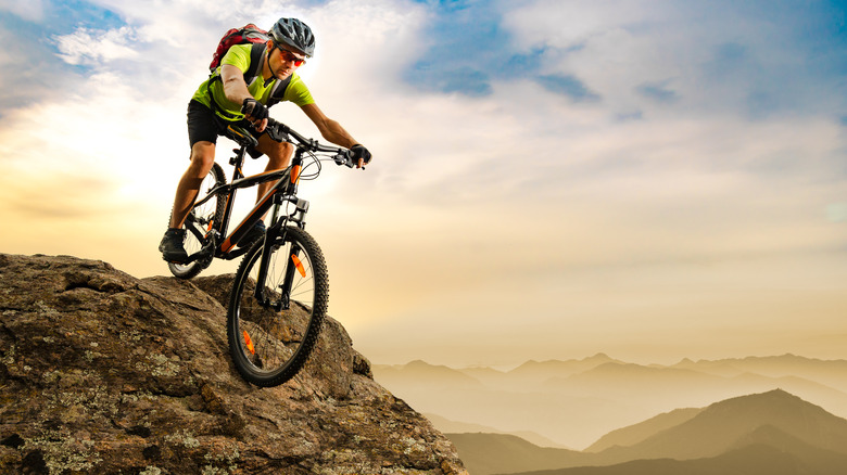 A mountain biker at the top of a mountain 