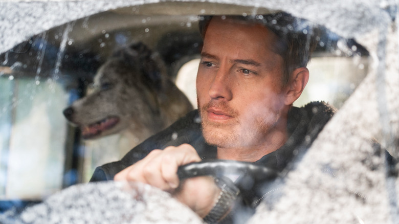 Justin Hartley driving with a dog