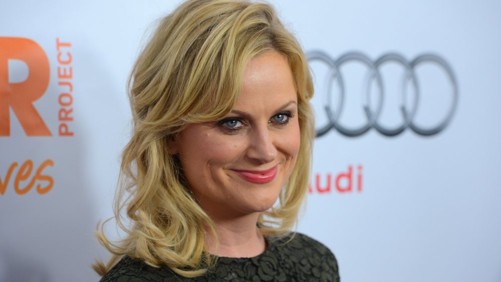 Amy Poehler 