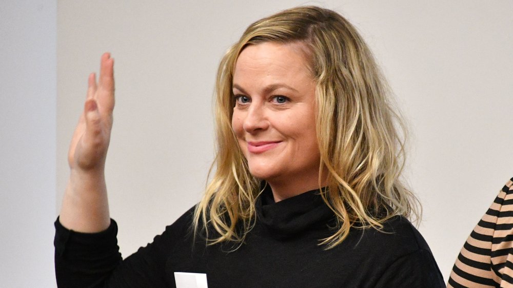 Amy Poehler