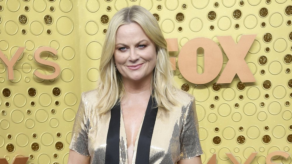 The Untold Truth Of Amy Poehler