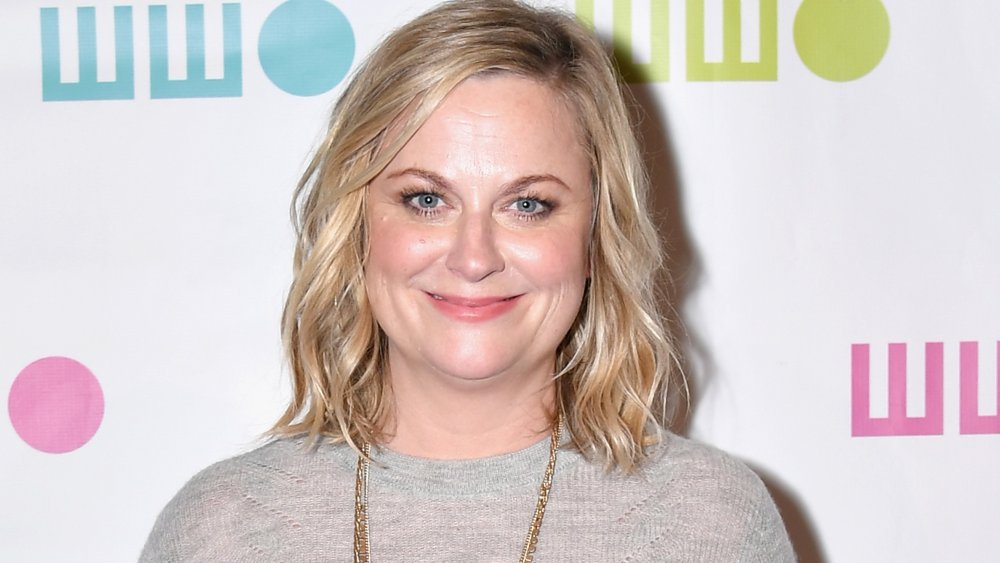 Amy Poehler