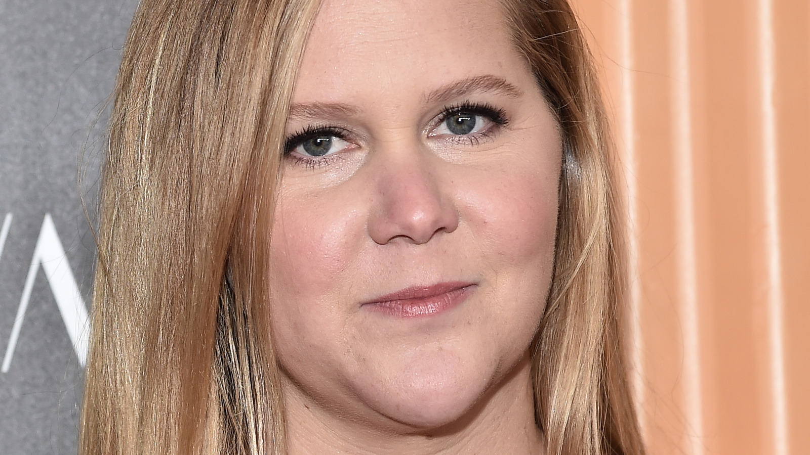 Amy Schumer Blowjob - What You Don't Know About Amy Schumer