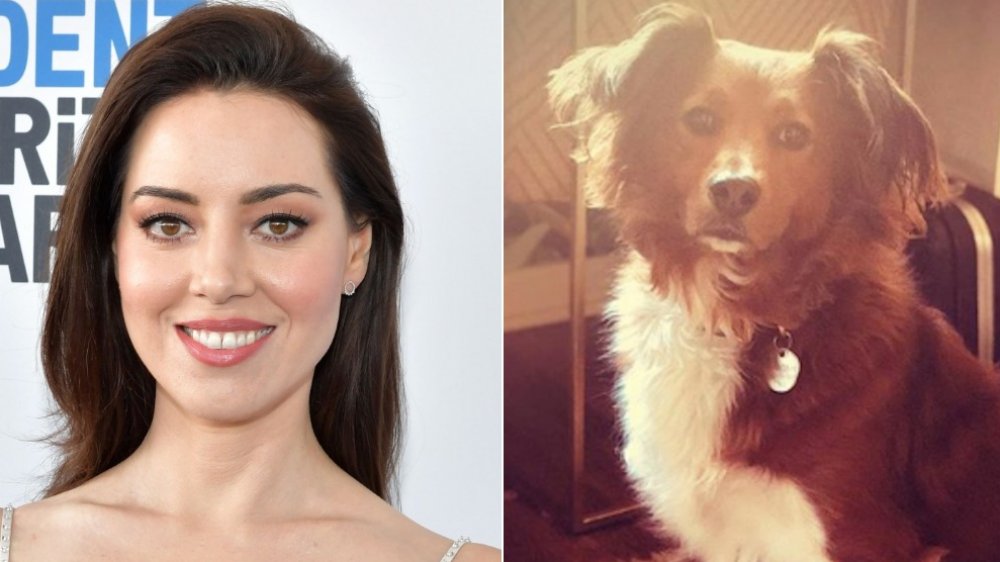 Aubrey Plaza and her dog Frankie