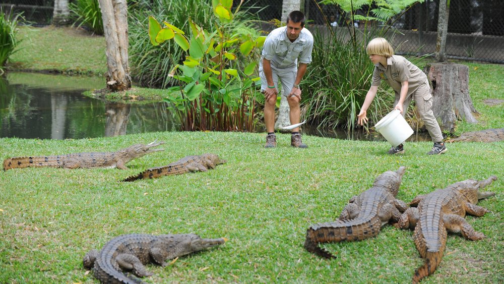 Robert Irwin, Bindi Irwin's brother