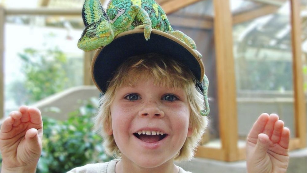 Robert Irwin, Bindi Irwin's brother