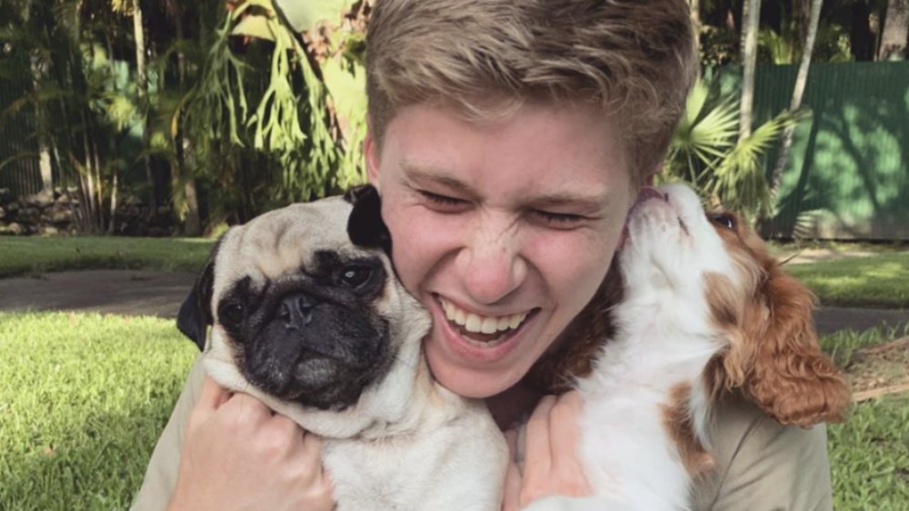 Stella; Bindi Irwin's brother, Robert Irwin; Piggy