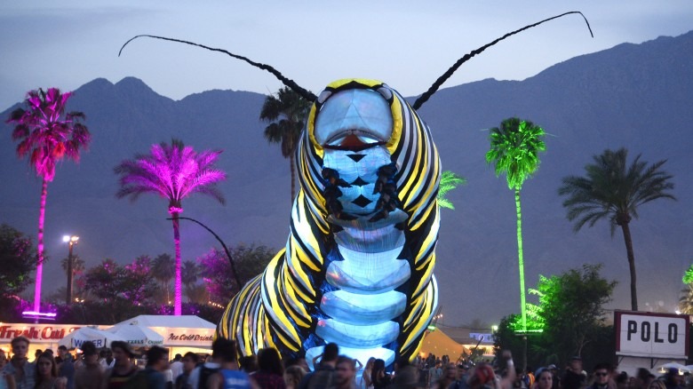 Coachella music festival