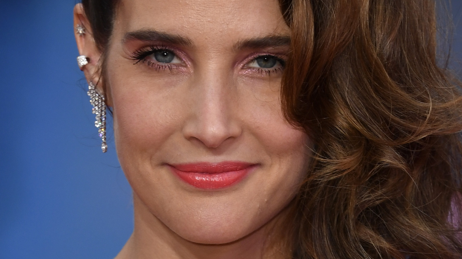 The Untold Truth Of Cobie Smulders