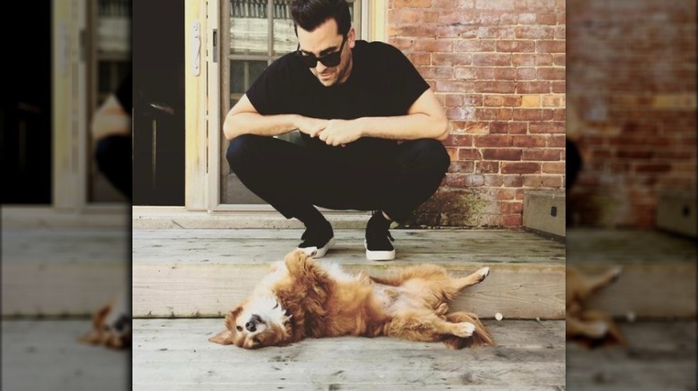 Dan Levy and his dog, Redmond