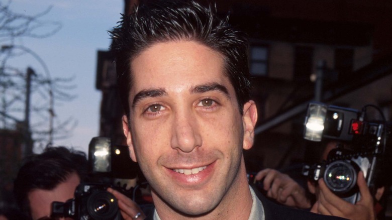 Young David Schwimmer with the press