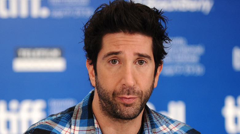 David Schwimmer at TIFF