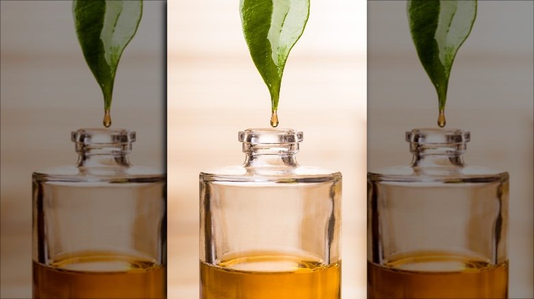 oil dripping off leaf into bottle