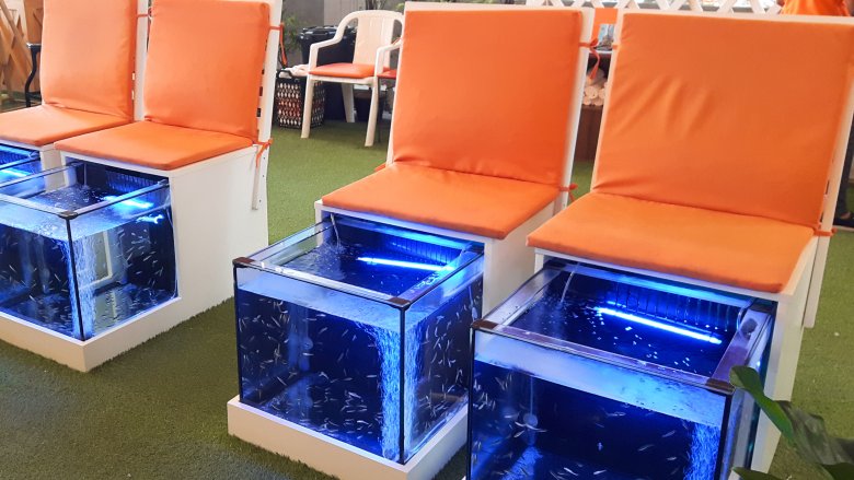 fish spa pedicure