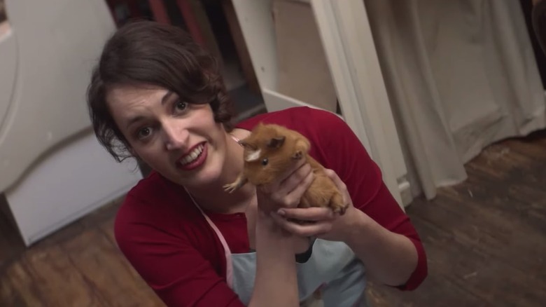 The Untold Truth Of Fleabag