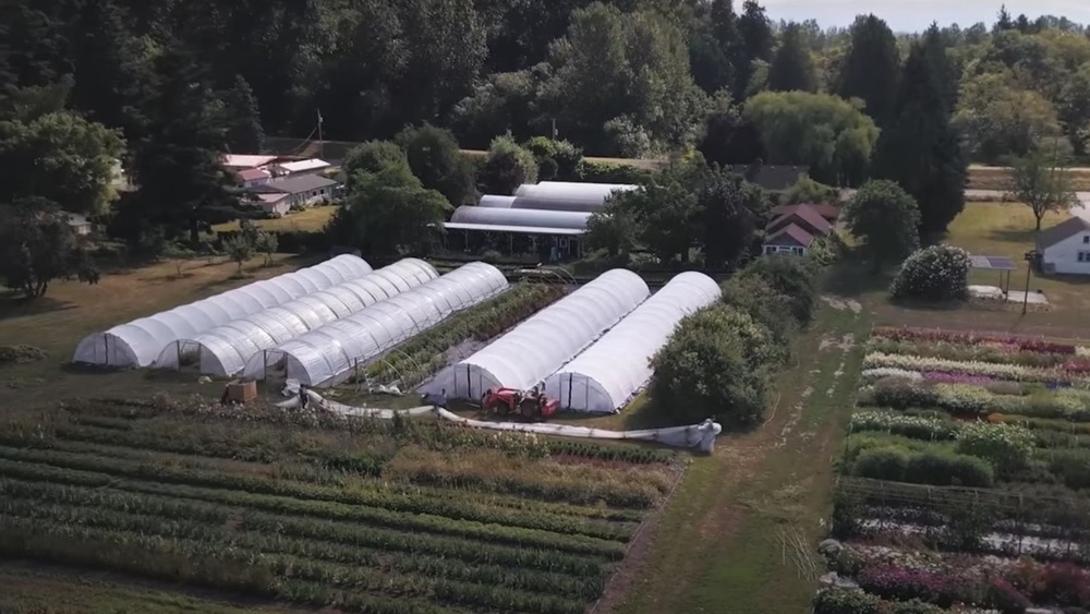 The Floret farm from above