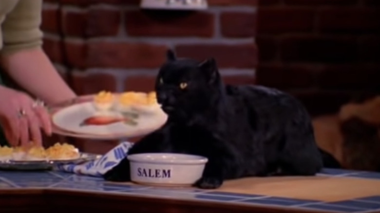 Salem in Sabrina the Teenage Witch