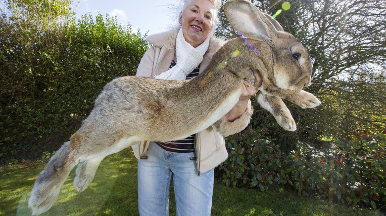 woman holding giant Teletubby rabbit