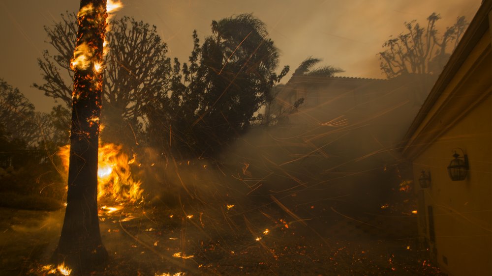 An image of the Woolsey Fire at The Bachelor mansion