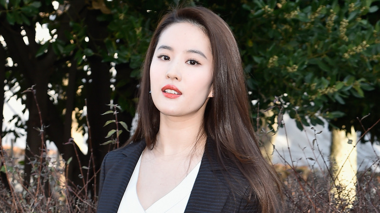 Liu Yifei, the star of the live-action Mulan movie