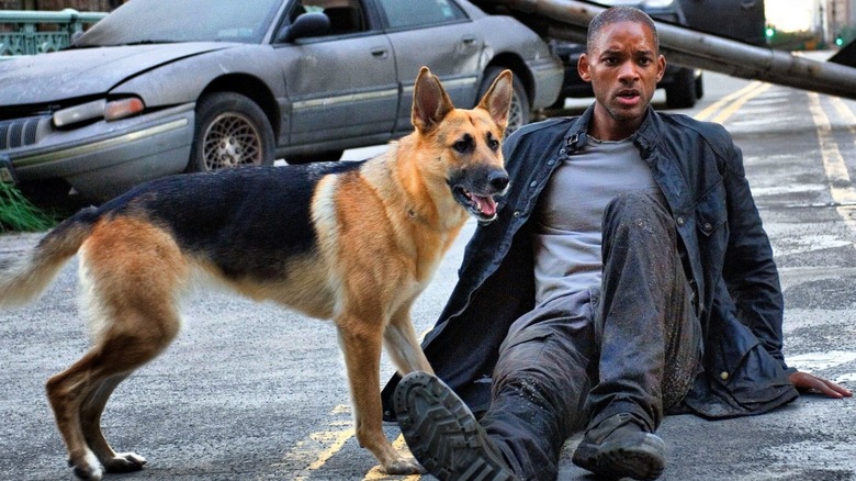 movie dogs I Am Legend Abbey