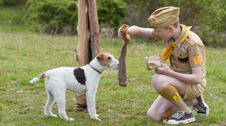 movie dogs Moonrise Kingdom Bella