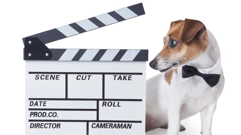 movie dogs