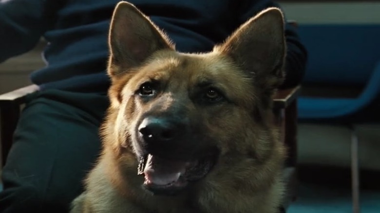 movie dogs Hot Fuzz Samson