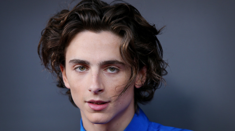Timothée Chalamet in blue shirt with hair on face 