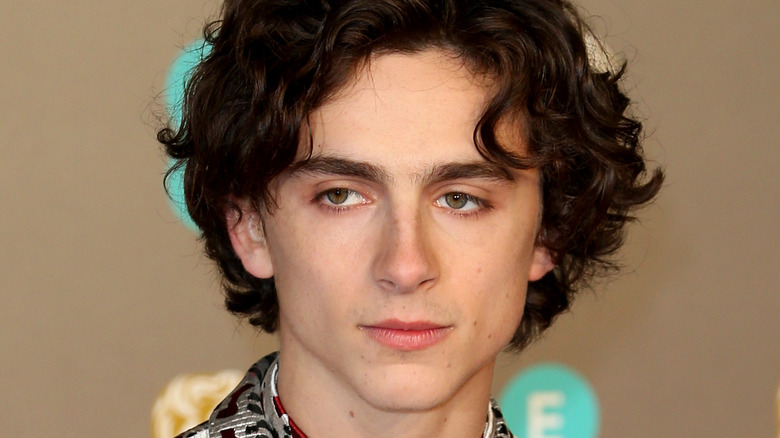 Timothée Chalamet in printed suit with curl on forehead