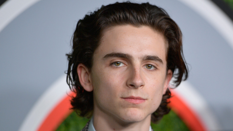 Timothée Chalamet with brushed back hair 