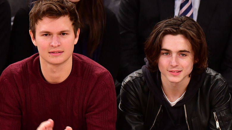 Timothée Chalamet with Ansel Elgort in red sweater 