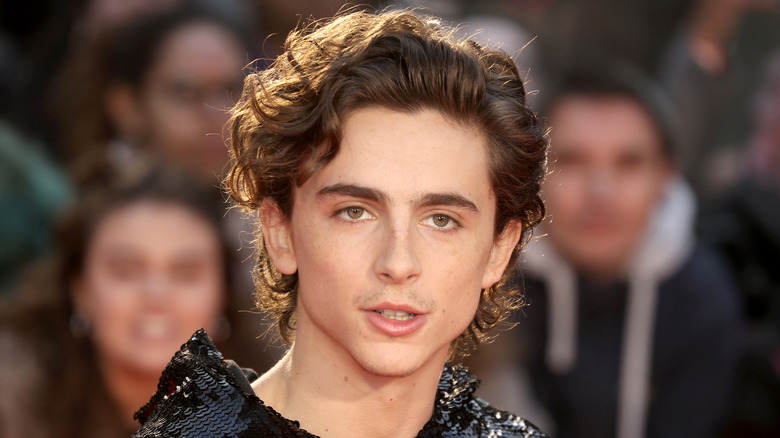 Timothée Chalamet with brown hair in sequinned shirt