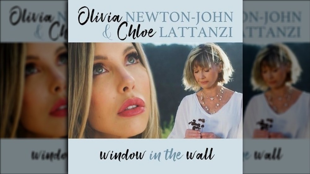 'Window in the Wall' cover art 