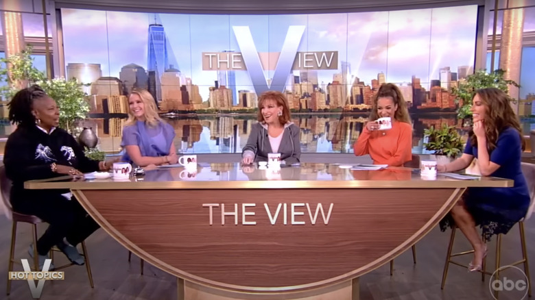 The co-hosts of The View